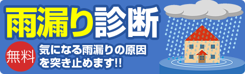 雨漏り診断